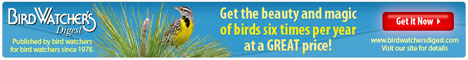 Get the beauty and magic of birds six times per year at a GREAT price!>>
