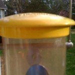 WBU_By_Droll_Yankee_Finch_Feeder